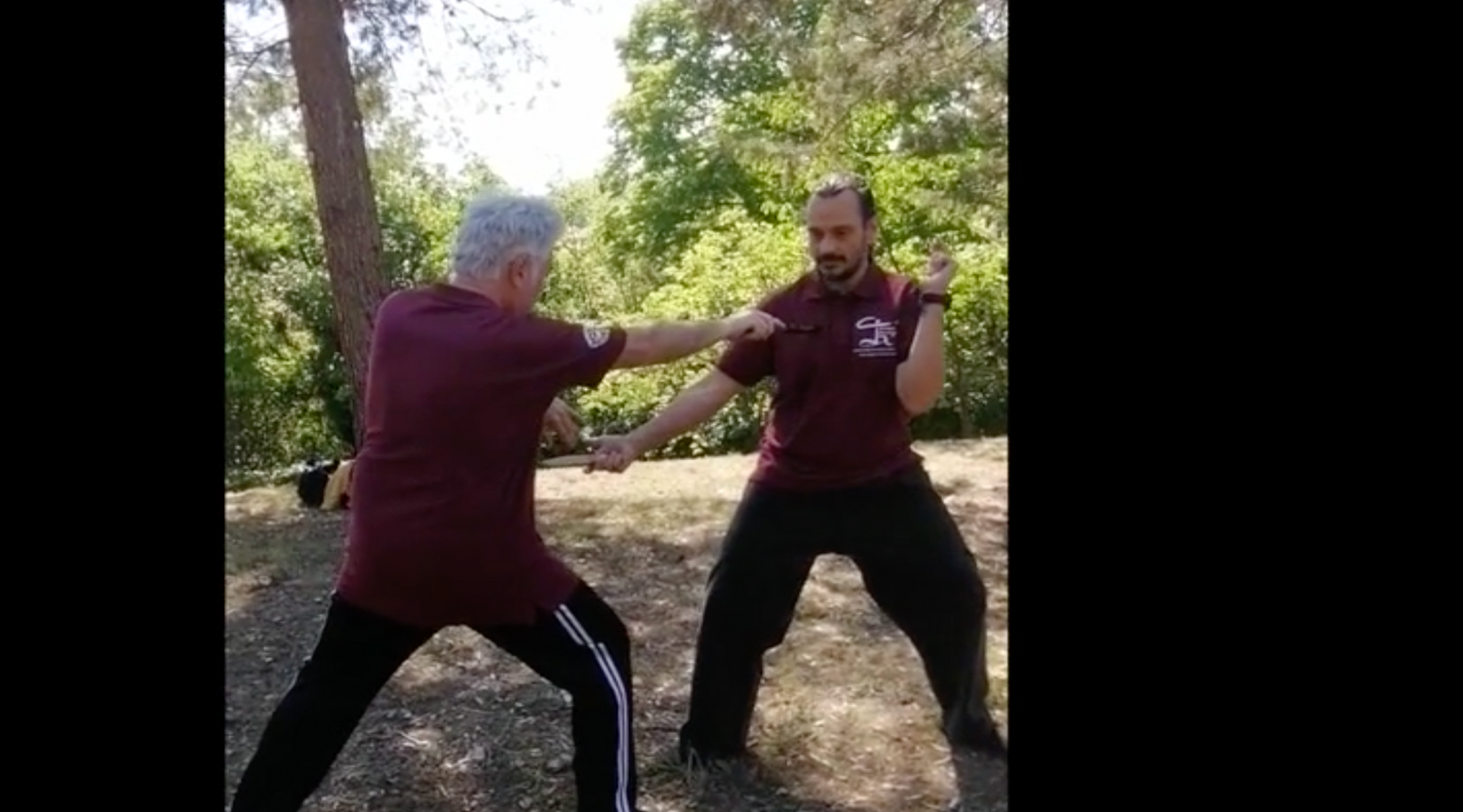 Ionian Fencing DVD by Maurizio Maltese