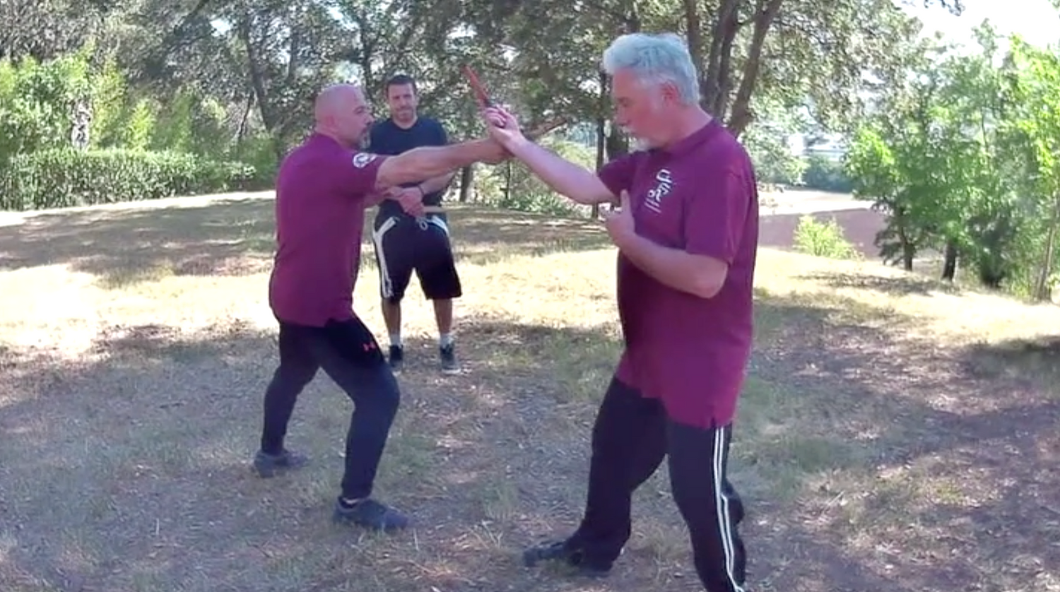 Ionian Fencing DVD by Maurizio Maltese