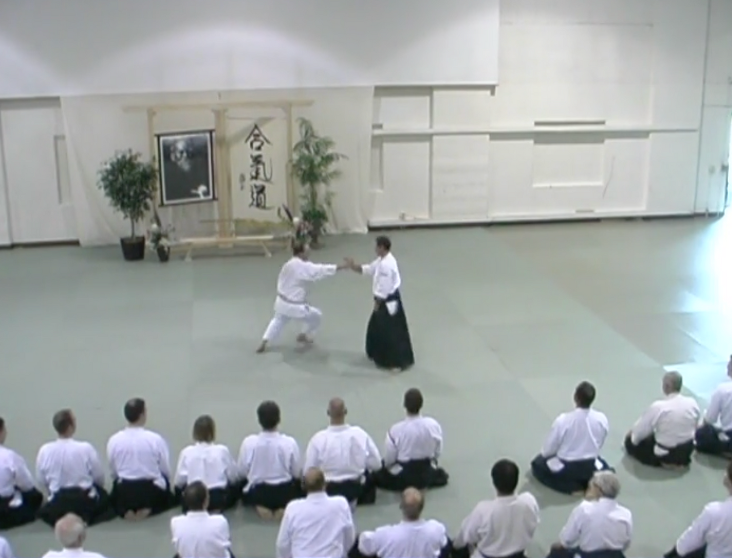 2003 Aikido Summer Camp in the Rockies DVD by Christian Tissier (Preowned)