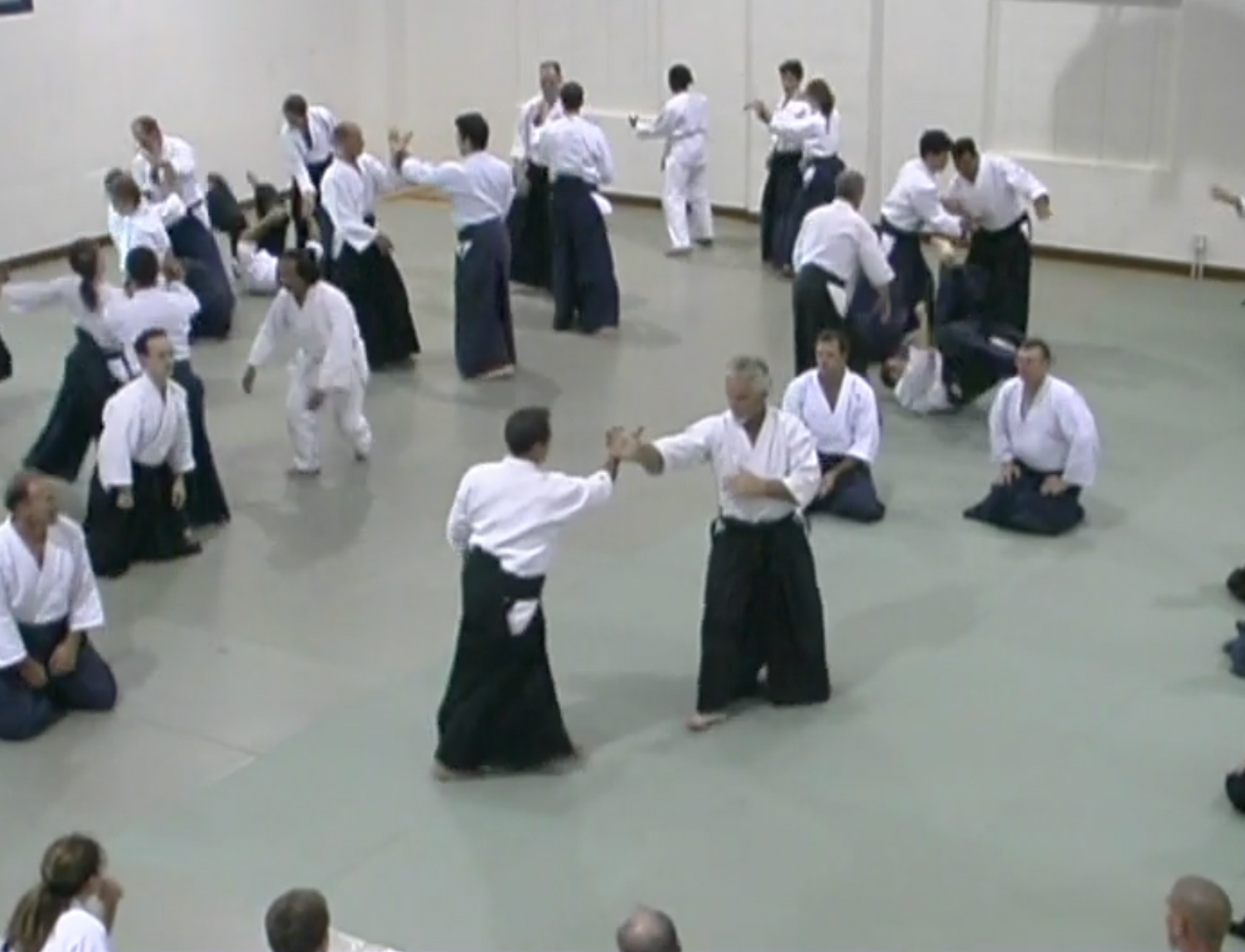 2003 Aikido Summer Camp in the Rockies DVD by Christian Tissier (Preowned)