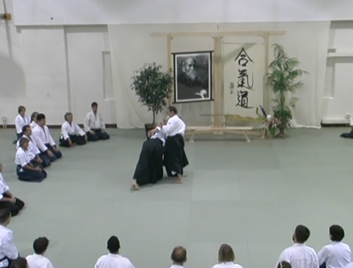 2003 Aikido Summer Camp in the Rockies DVD by Christian Tissier (Preowned)