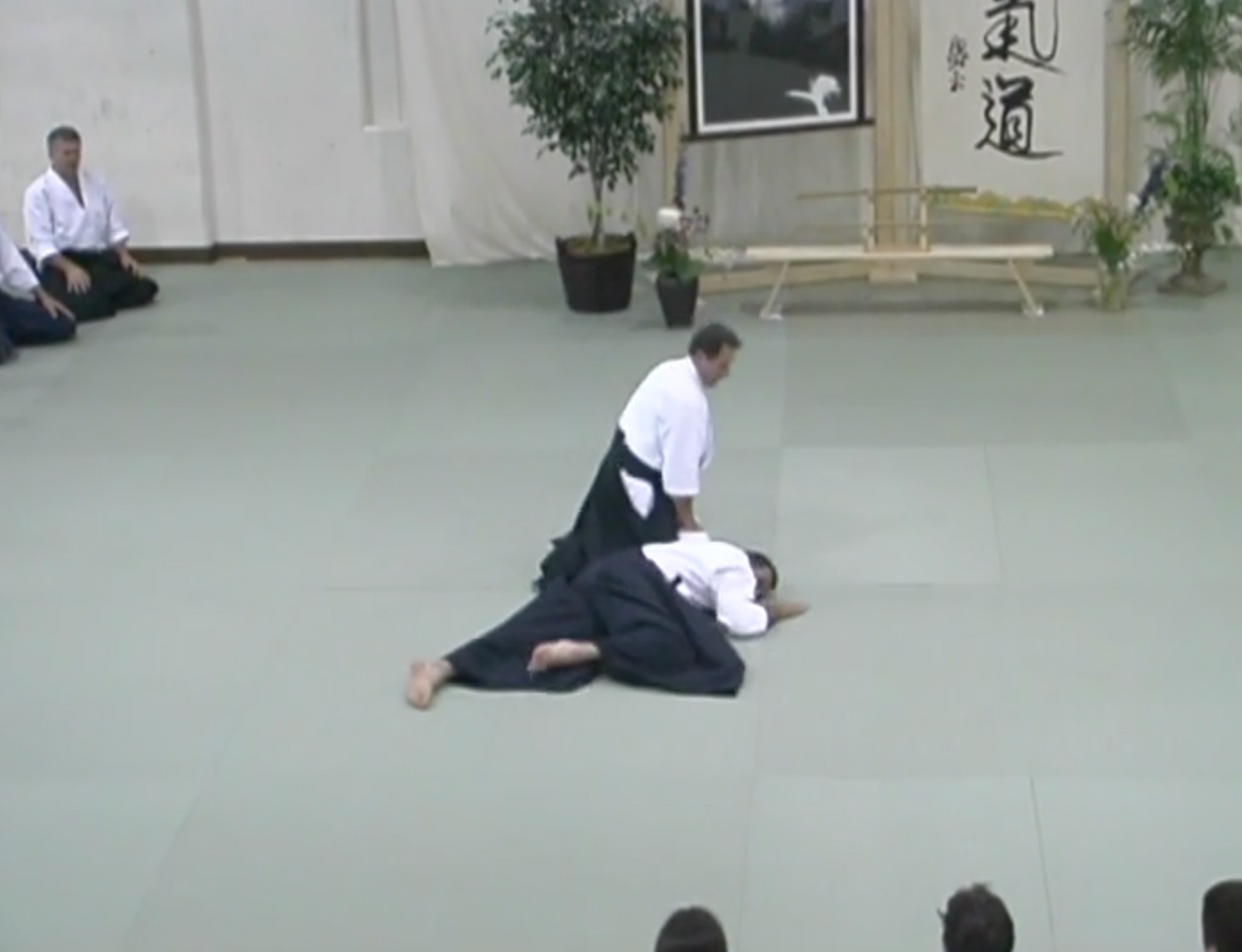 2003 Aikido Summer Camp in the Rockies DVD by Christian Tissier (Preowned)