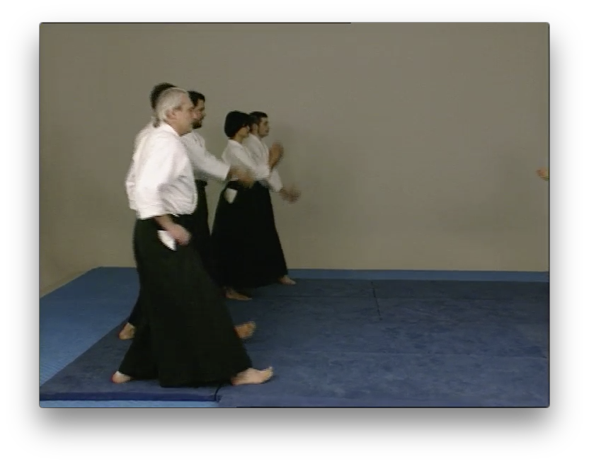 Aikido Kobayashi Ryu with Giampietro Savegnago (On Demand) - Budovideos Inc