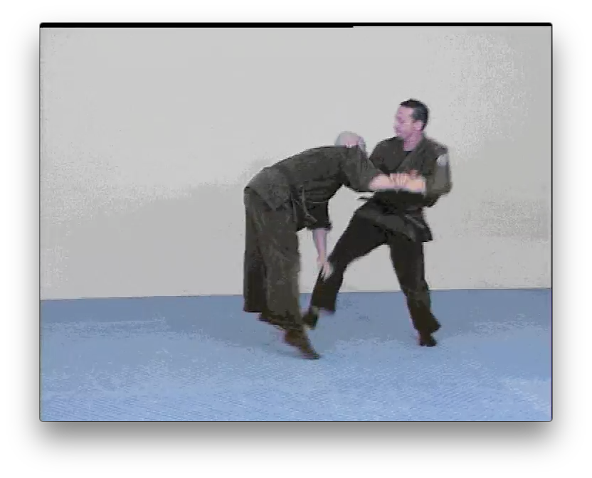 Genbukan Ninpo Bugei with Peter Vermeeren (On Demand) - Budovideos Inc