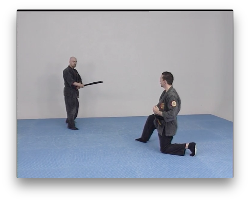 Genbukan Ninpo Bugei with Peter Vermeeren (On Demand) - Budovideos Inc