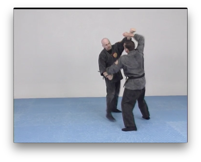 Genbukan Ninpo Bugei with Peter Vermeeren (On Demand) - Budovideos Inc