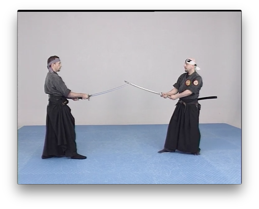 Genbukan Ninpo Bugei with Peter Vermeeren (On Demand) - Budovideos Inc