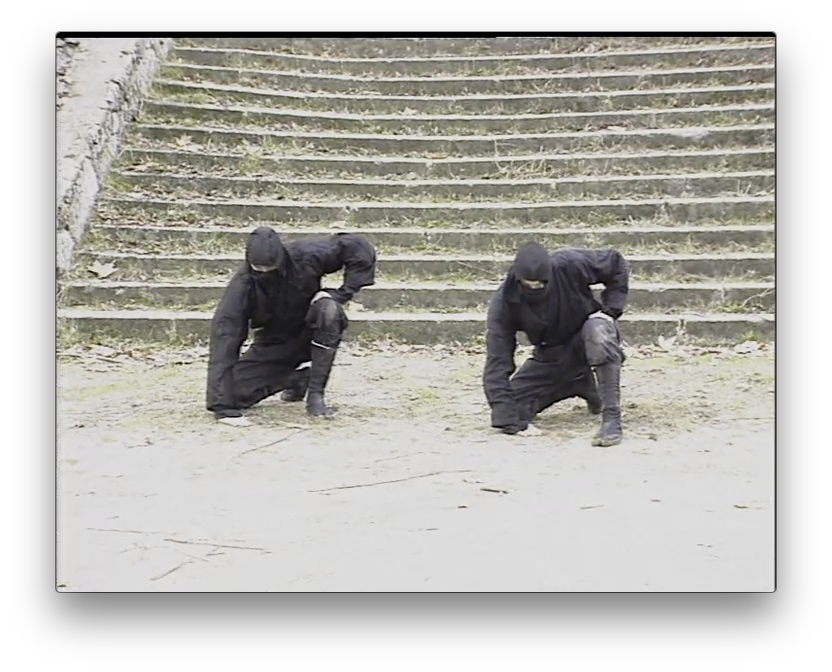 Koga Ryu Ninjutsu Empty Hands by Juan Hombre (On Demand) - Budovideos Inc