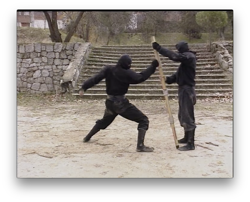 Koga Ryu Ninjutsu Empty Hands by Juan Hombre (On Demand) - Budovideos Inc