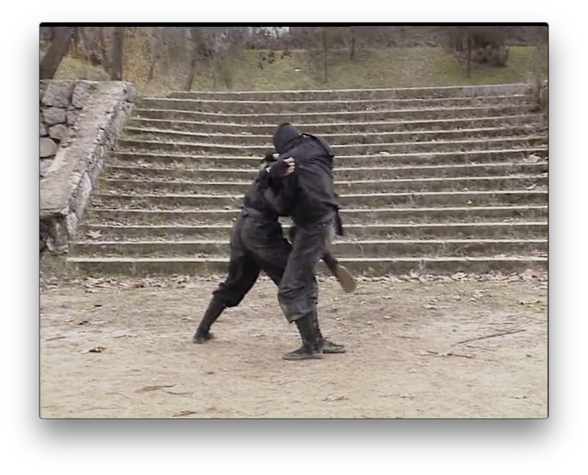 Koga Ryu Ninjutsu Empty Hands by Juan Hombre (On Demand) - Budovideos Inc