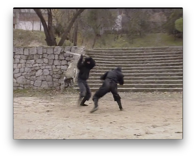 Koga Ryu Ninjutsu Empty Hands by Juan Hombre (On Demand) - Budovideos Inc