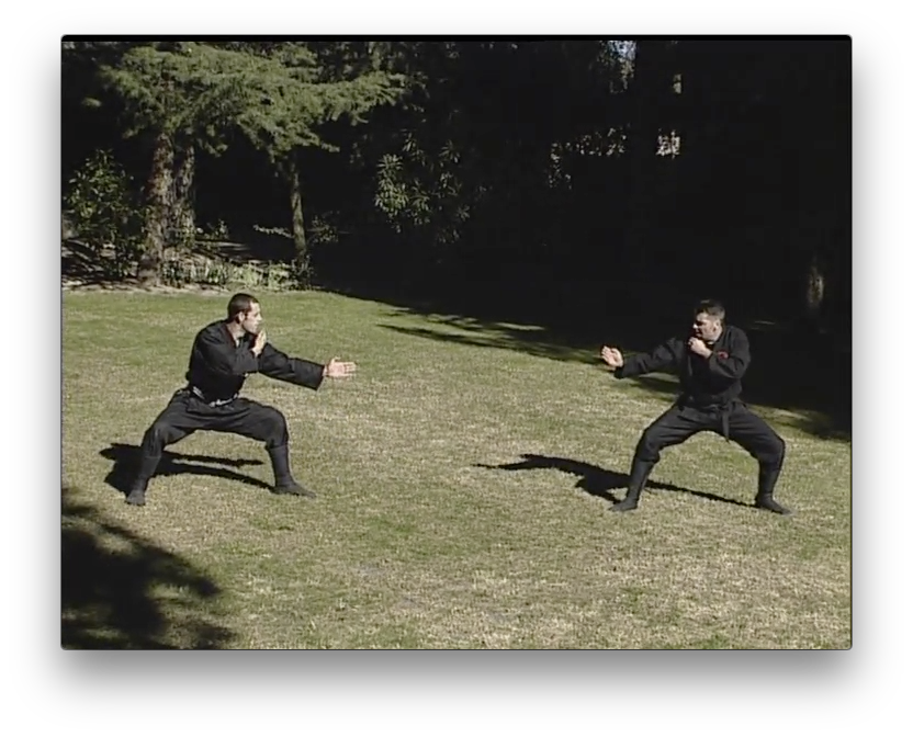 Bujinkan Budo Tai Jitsu with Pedro Fleitas (On Demand) - Budovideos Inc