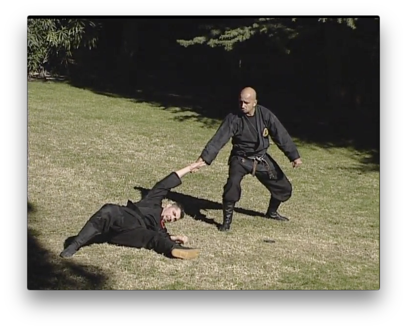 Bujinkan Budo Tai Jitsu with Pedro Fleitas (On Demand) - Budovideos Inc