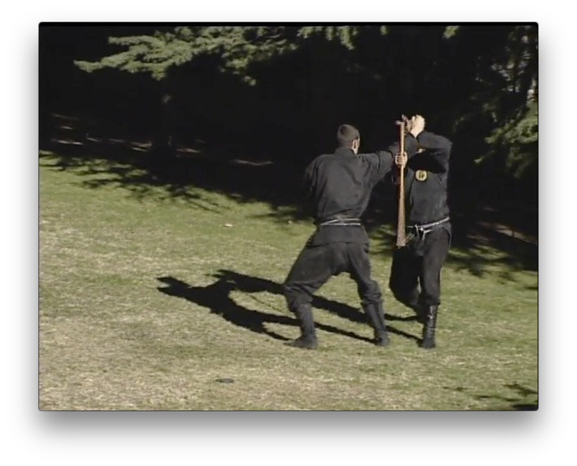 Bujinkan Budo Tai Jitsu with Pedro Fleitas (On Demand) - Budovideos Inc