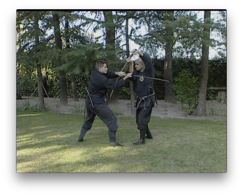 Bujinkan Budo Tai Jitsu with Pedro Fleitas (On Demand) - Budovideos Inc