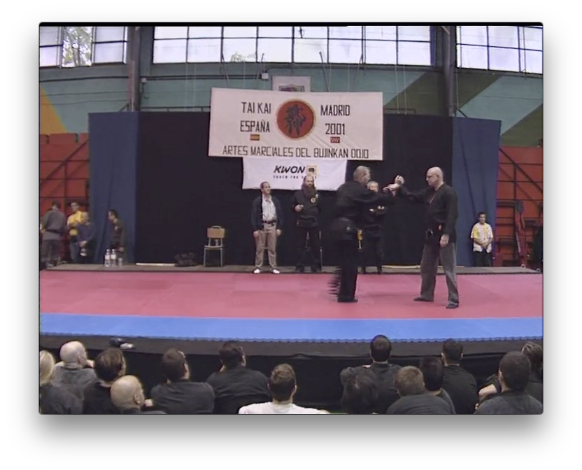 Bujinkan Dojo Taijitsu Taikai vol 1 by Masaaki Hatsumi (On Demand) - Budovideos Inc