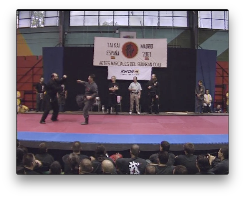 Bujinkan Dojo Taijitsu Taikai vol 1 by Masaaki Hatsumi (On Demand) - Budovideos Inc