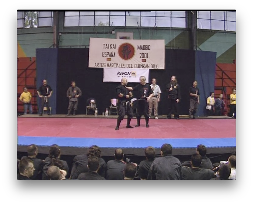 Bujinkan Dojo Taijitsu Taikai vol 1 by Masaaki Hatsumi (On Demand) - Budovideos Inc