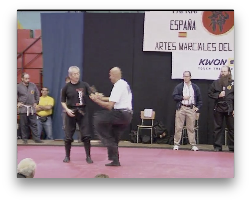 Bujinkan Dojo Taijitsu Taikai vol 2 by Masaaki Hatsumi (On Demand) - Budovideos Inc