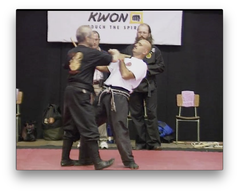 Bujinkan Dojo Taijitsu Taikai vol 2 by Masaaki Hatsumi (On Demand) - Budovideos Inc