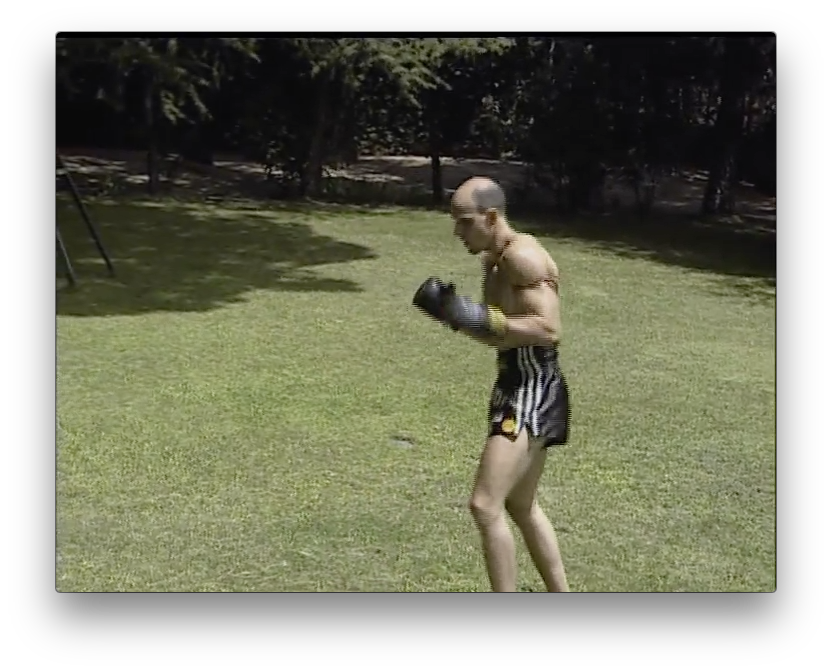 Phasom Muay Thai with Marco de Cesaris (On Demand) - Budovideos Inc