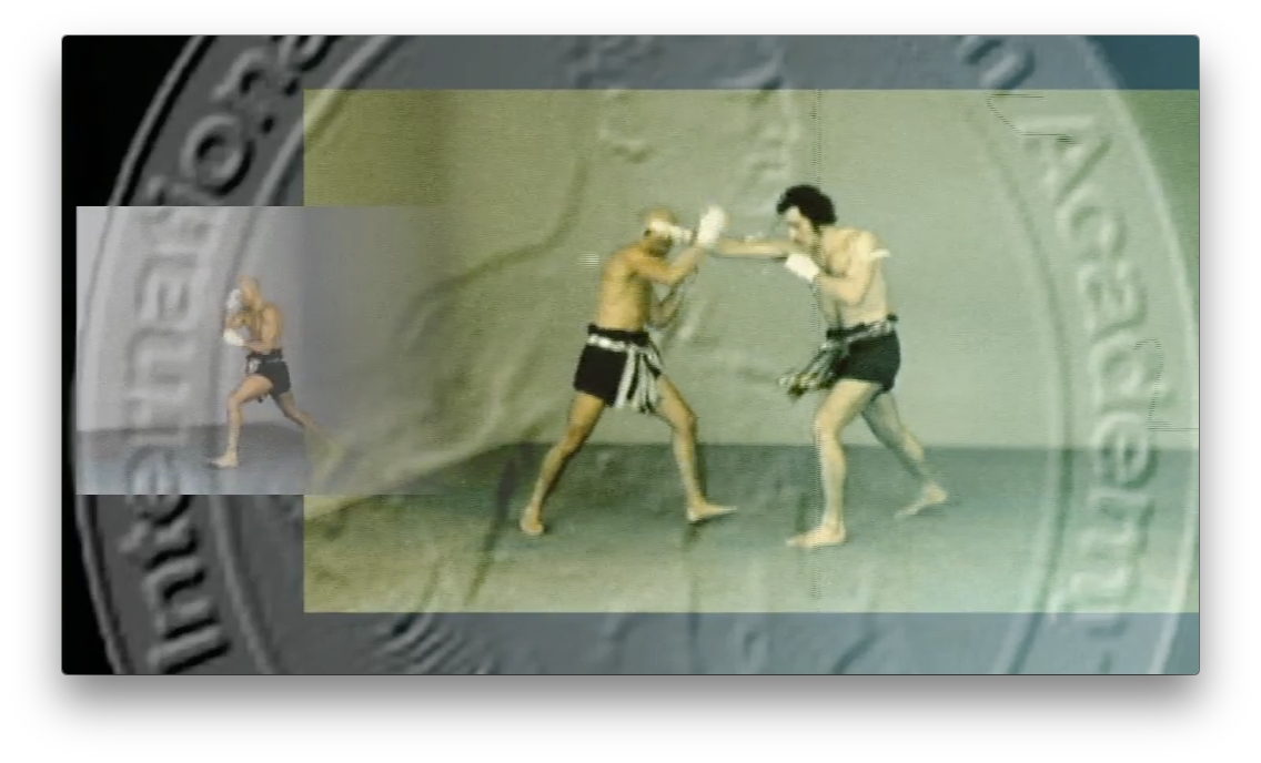 Muay Boran Flying Techniques by Marco De Cesaris (On Demand) - Budovideos Inc