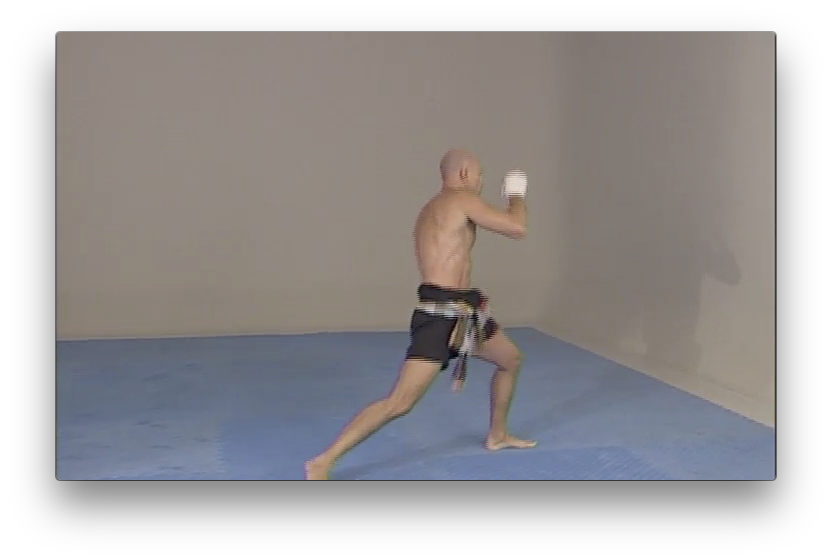 The Elbows of Muay Thai Boran by Marco De Cesaris (On Demand) - Budovideos Inc