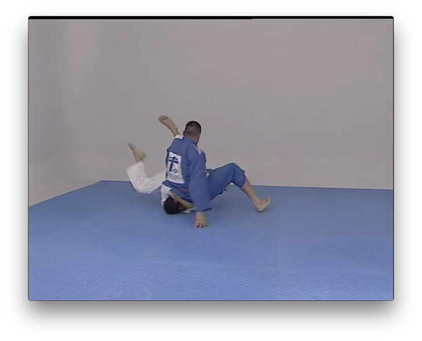 Brazilian Jiu Jitsu Ultimate Competition Techniques 1 with Fabricio Werdum (On Demand) - Budovideos Inc