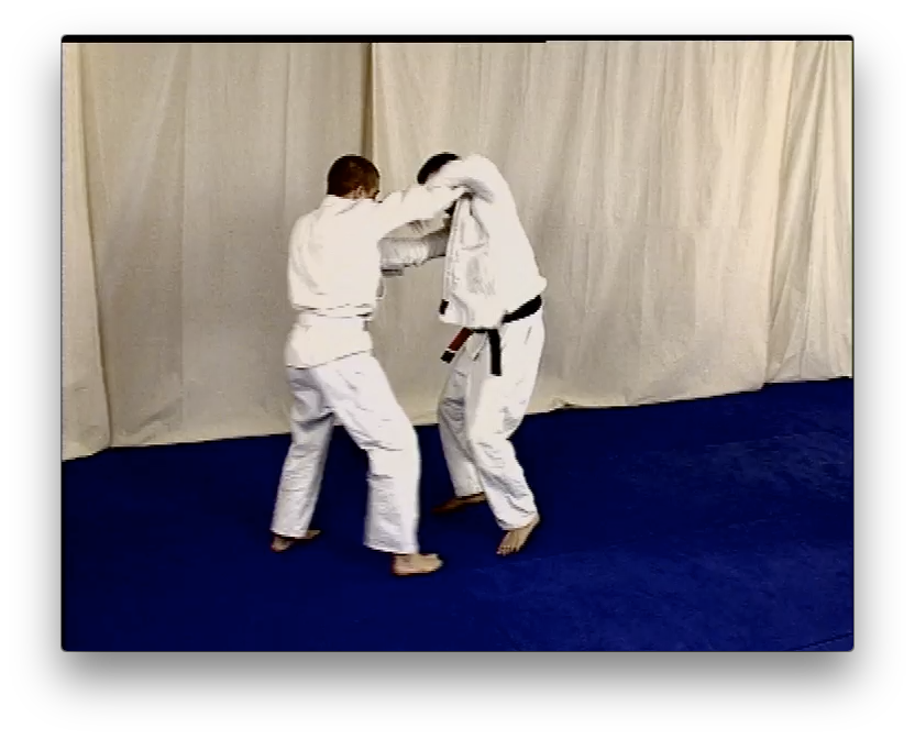 Gracie Jiu Jitsu Throws and Self Defense with Robin Gracie (On Demand) - Budovideos Inc