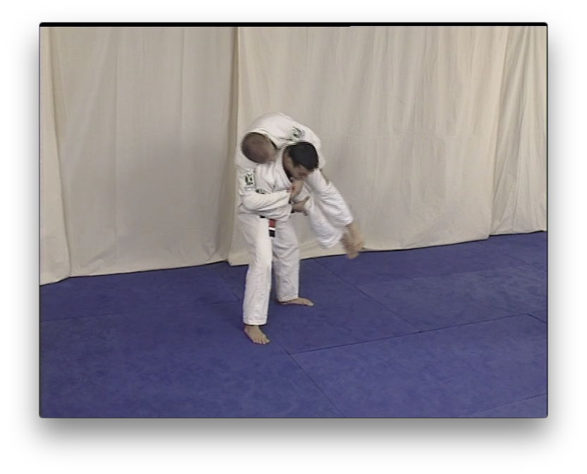 Gracie Jiu Jitsu Throws and Self Defense with Robin Gracie (On Demand) - Budovideos Inc