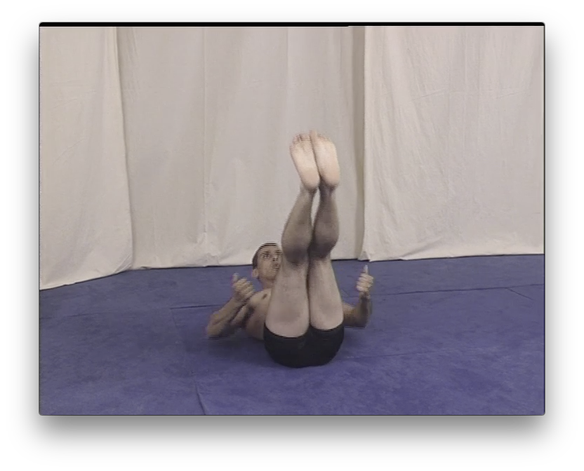 Brazilian Jiu Jitsu Conditioning with the Vacirca Brothers (On Demand) - Budovideos Inc