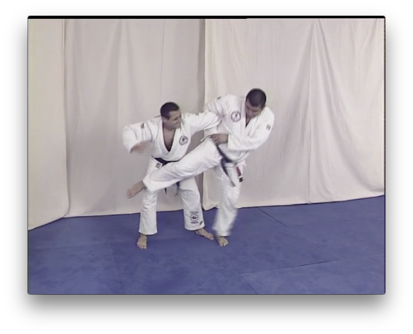 Brazilian Jiu Jitsu Volume 1 with the Vacirca Brothers (On Demand) - Budovideos Inc
