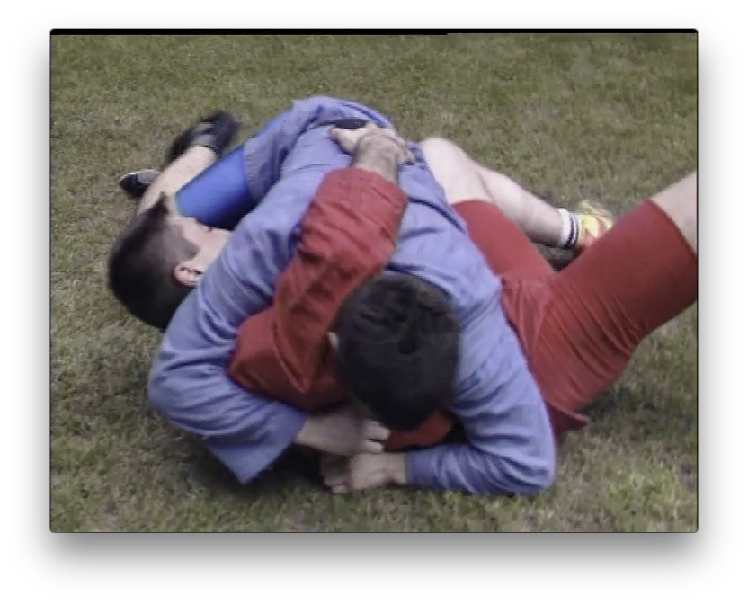 Sambo Techniques by Penov and Petrov (On Demand) - Budovideos Inc