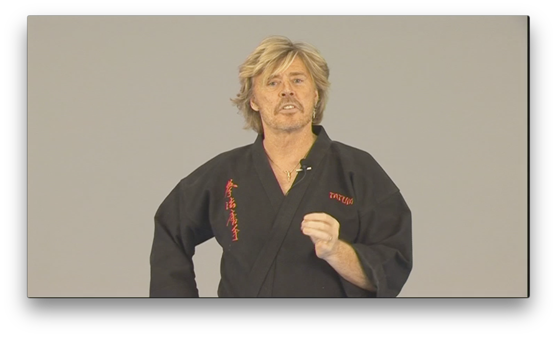 Free Style Kenpo by Larry Tatum (On Demand) - Budovideos Inc