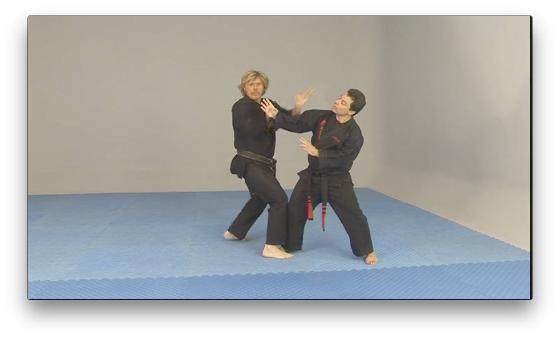 Free Style Kenpo by Larry Tatum (On Demand) - Budovideos Inc