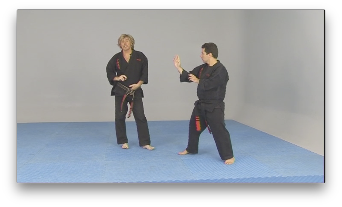 Free Style Kenpo by Larry Tatum (On Demand) - Budovideos Inc