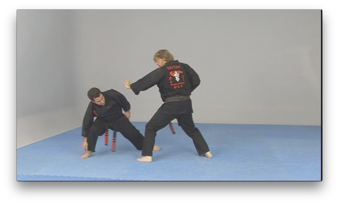 Free Style Kenpo by Larry Tatum (On Demand) - Budovideos Inc