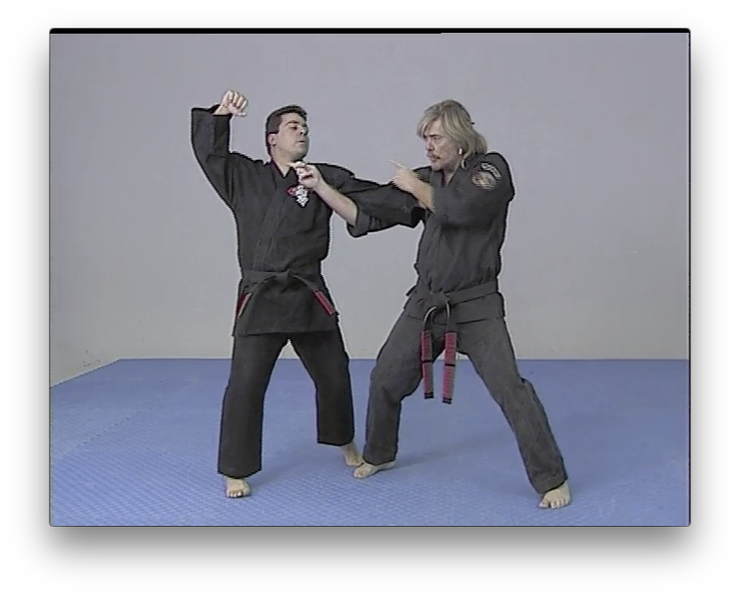 Ed Parker's Kenpo System by Larry Tatum (On Demand) - Budovideos Inc
