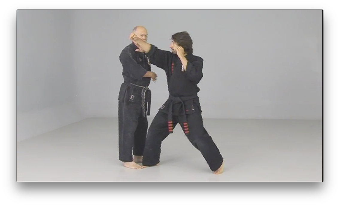 Kenpo Golden Rules by Richard Planas (On Demand) - Budovideos Inc