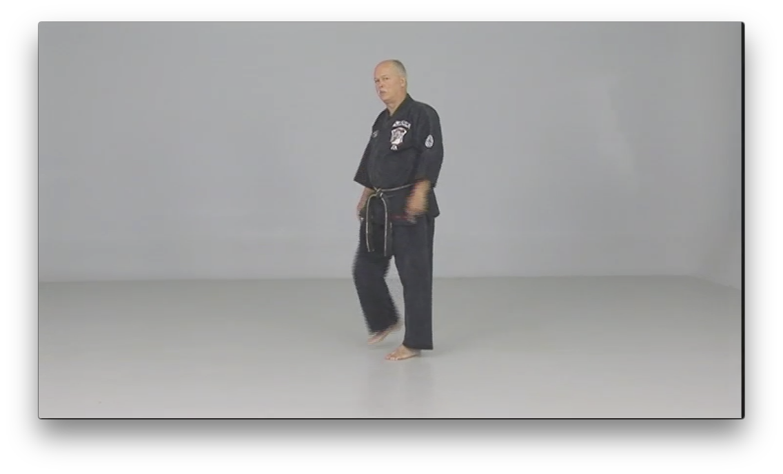 Kenpo Golden Rules by Richard Planas (On Demand) - Budovideos Inc