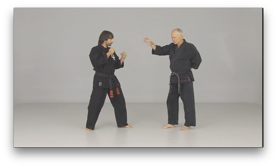 Ed Parker's Rules and Principles by Richard Planas (On Demand) - Budovideos Inc