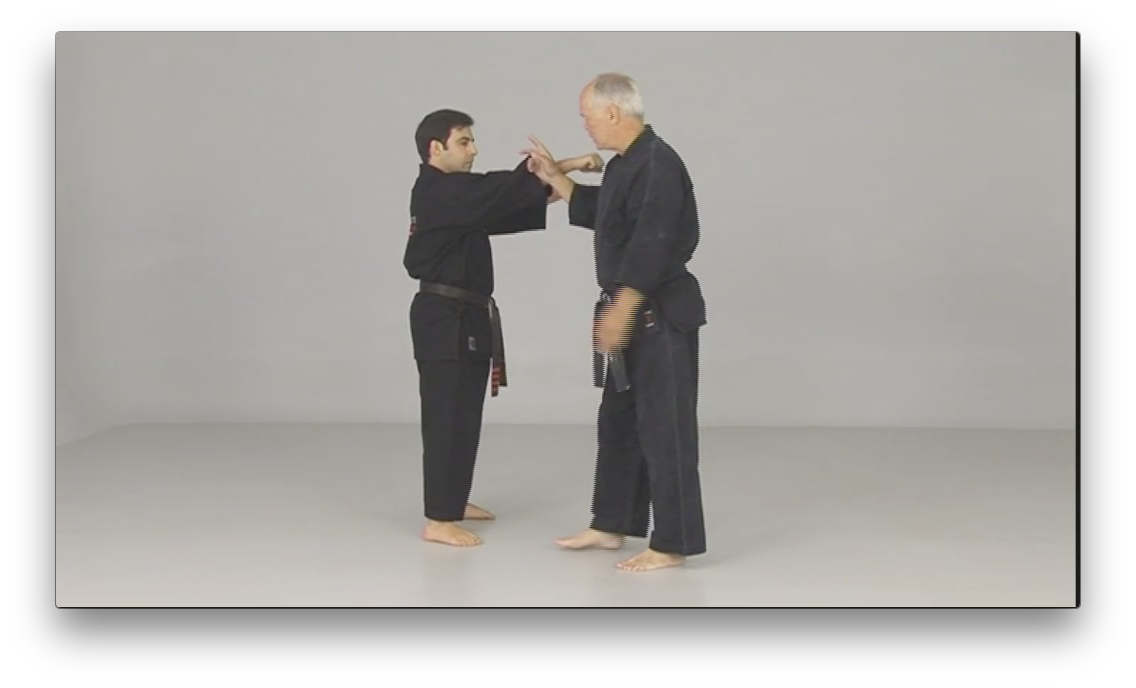 Ed Parker's Rules and Principles by Richard Planas (On Demand) - Budovideos Inc