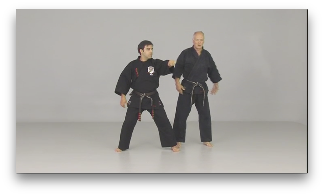 Ed Parker's Rules and Principles by Richard Planas (On Demand) - Budovideos Inc