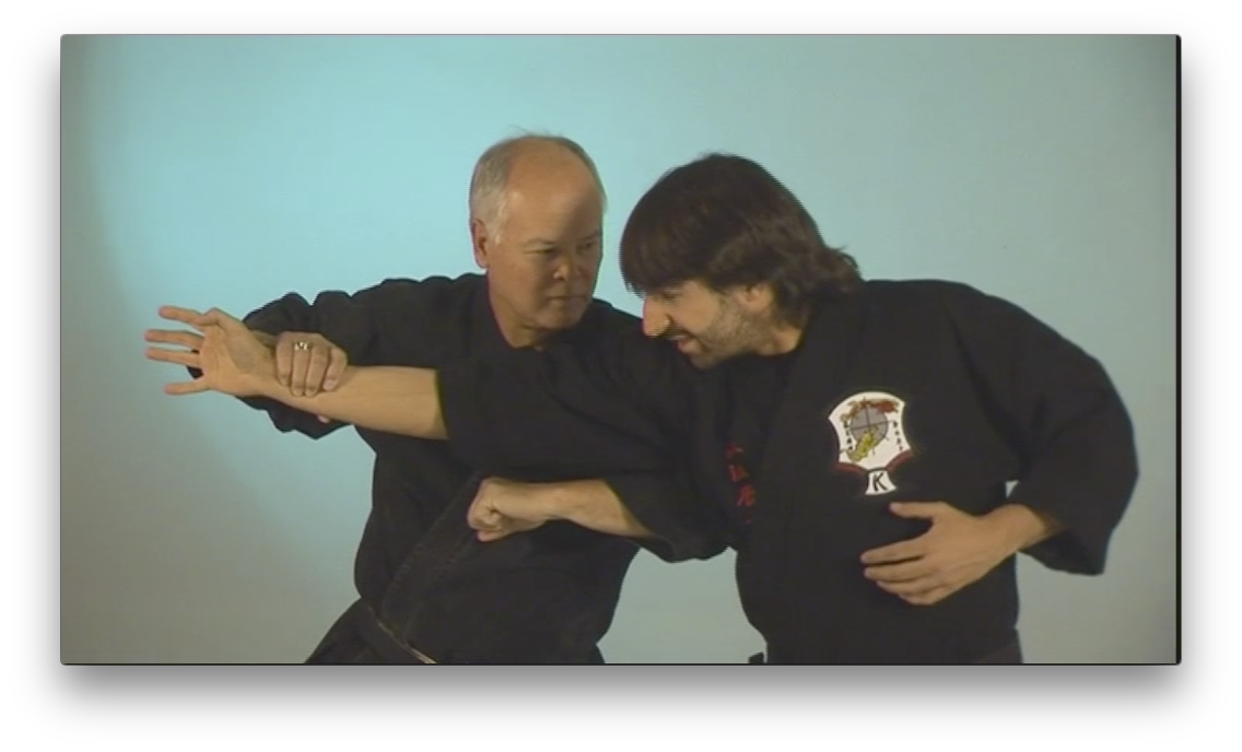 Ed Parker's Rules and Principles by Richard Planas (On Demand) - Budovideos Inc