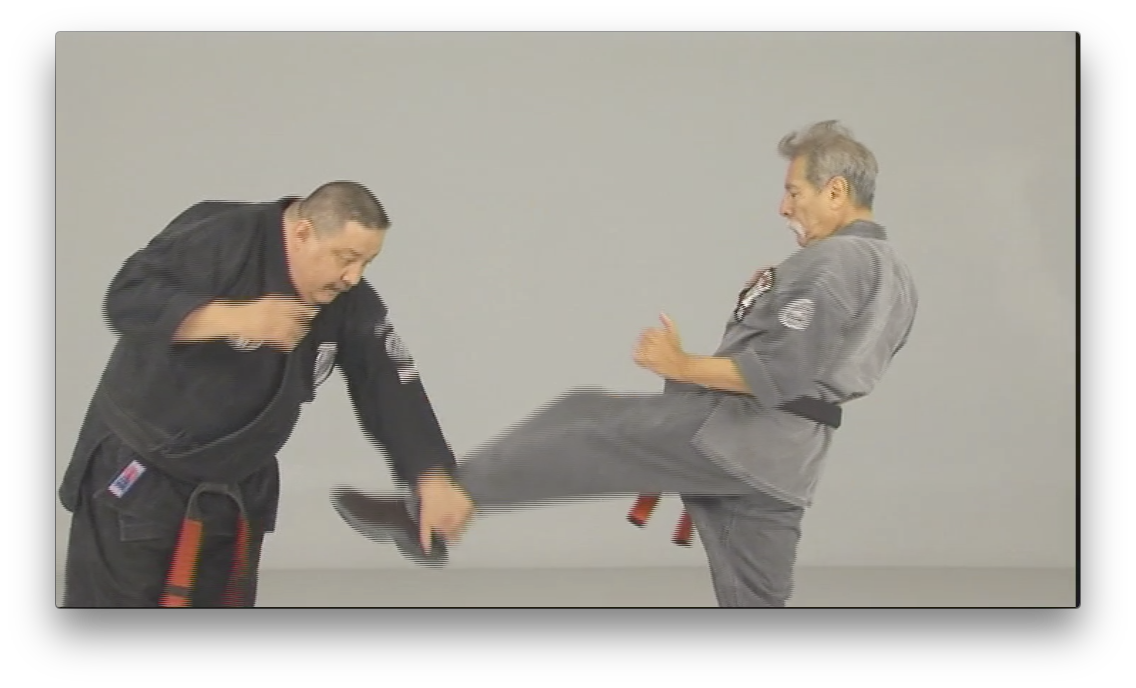 Ed Parker's Kenpo Trejo Lineage by Frank Trejo (On Demand) - Budovideos Inc