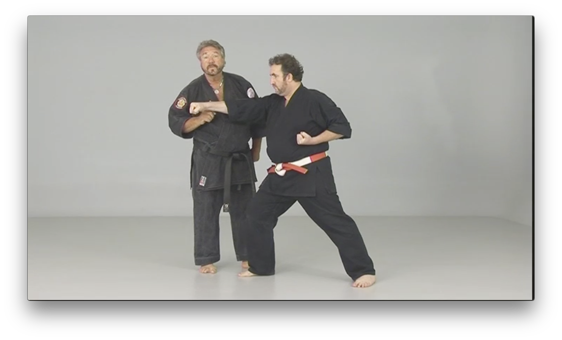 Kosho Ryu Kenpo by Bruce Juchnik (On Demand) - Budovideos Inc