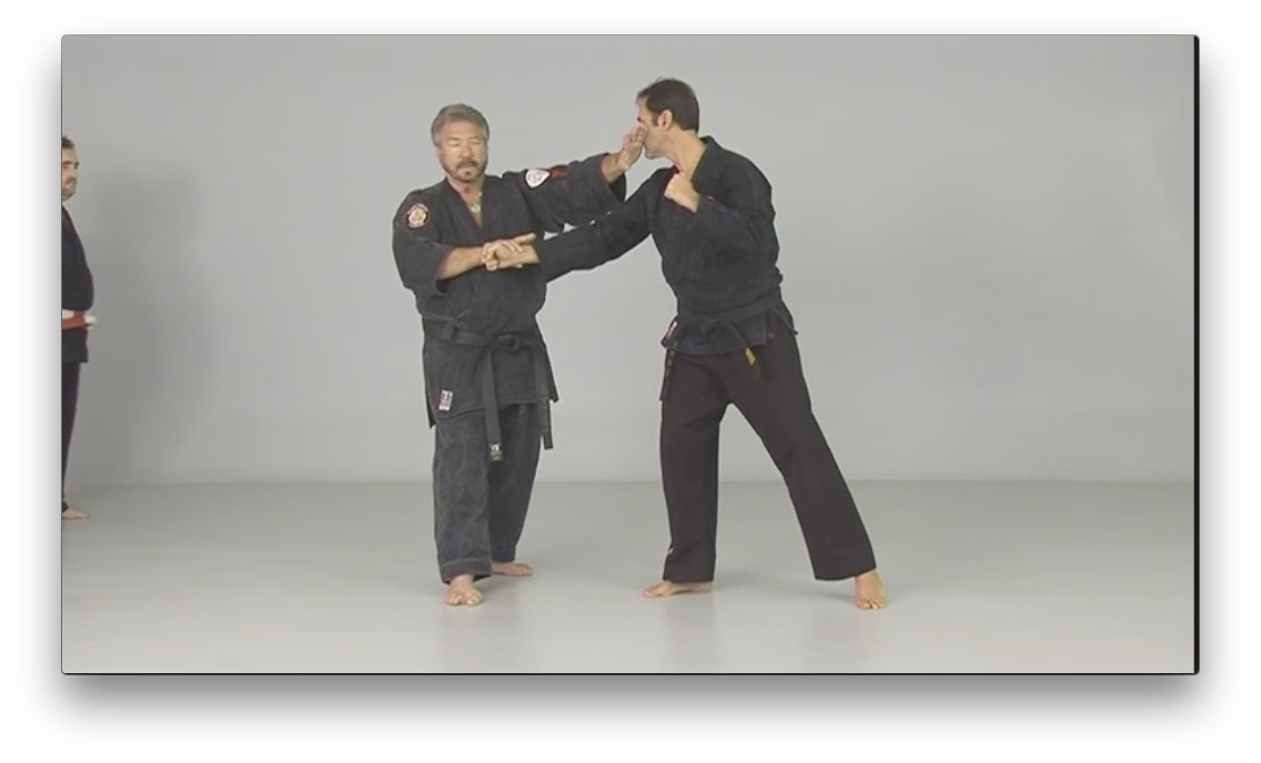 Kosho Ryu Kenpo by Bruce Juchnik (On Demand) - Budovideos Inc