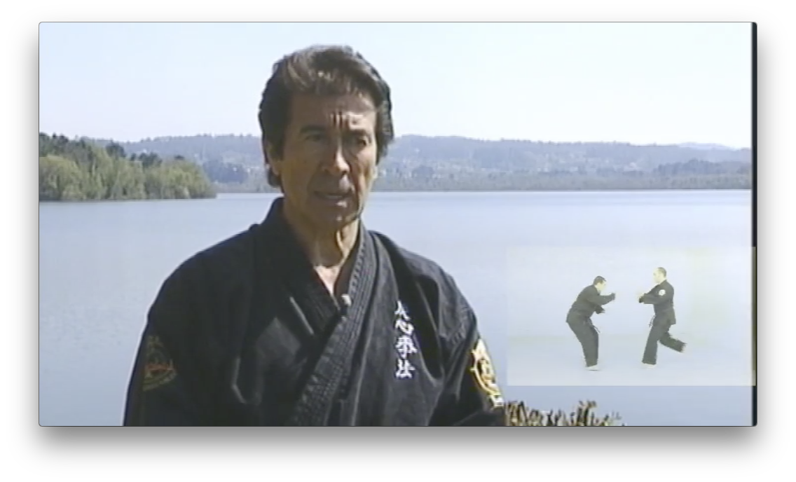 Fu Shih Kenpo with Raul Gutierrez (On Demand) - Budovideos Inc