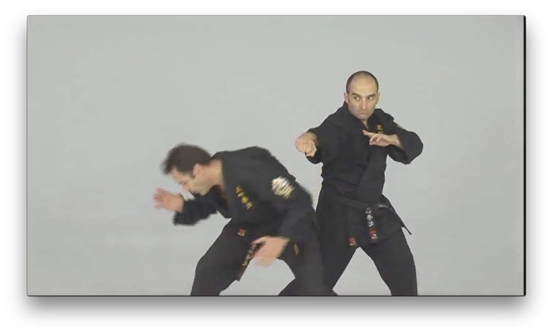 Fu Shih Kenpo with Raul Gutierrez (On Demand) - Budovideos Inc