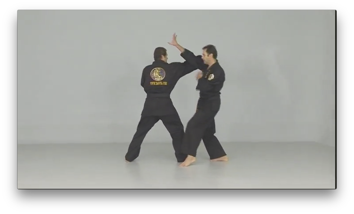 Fu Shih Kenpo with Raul Gutierrez (On Demand) - Budovideos Inc